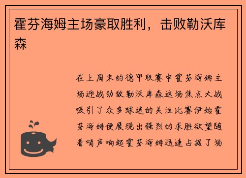 霍芬海姆主场豪取胜利，击败勒沃库森
